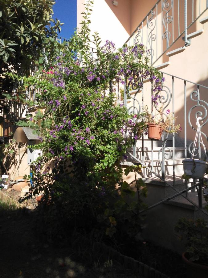 B&B Sos Manneddos Posada  Exterior foto